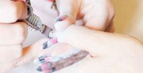 The ideal kit for nail technicians